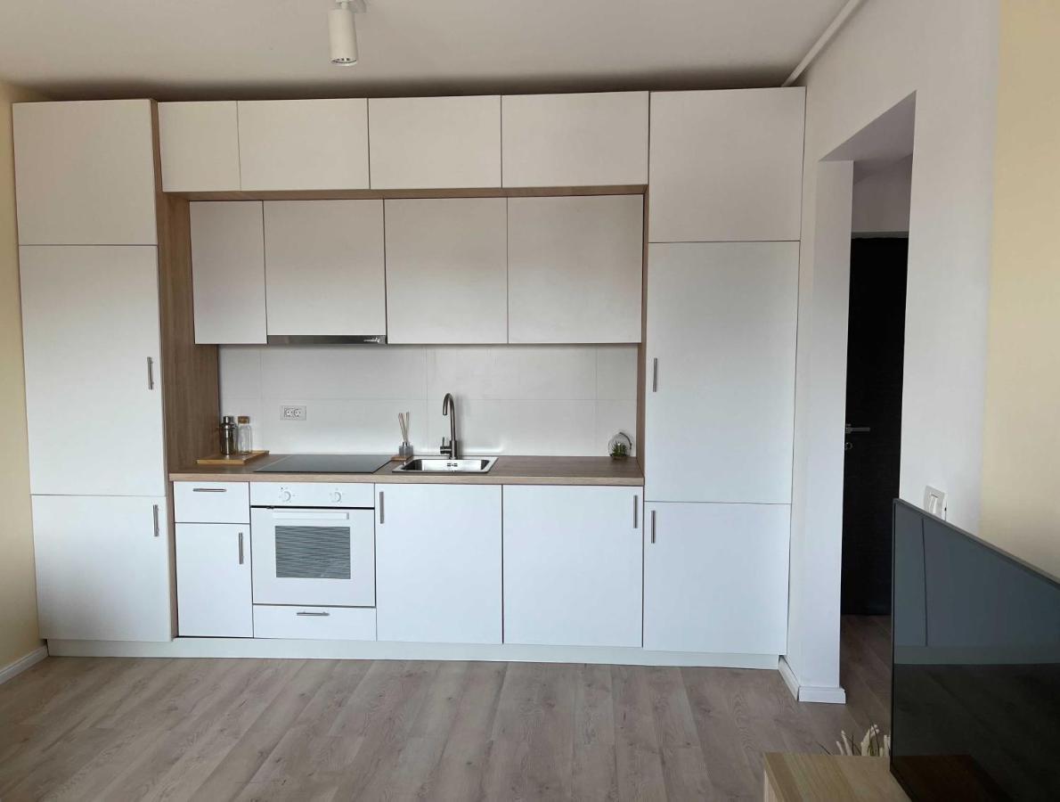 Oasis Luxury Apartment Near Presidential Palace Bucarest Extérieur photo